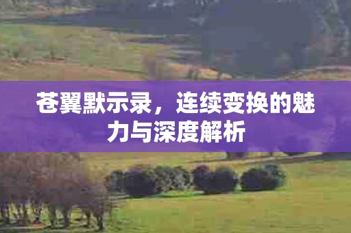 连续变换的魅力与深度解析图片