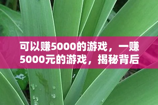 可以赚5000的游戏，一赚5000元的游戏，揭秘背后的策略与技巧