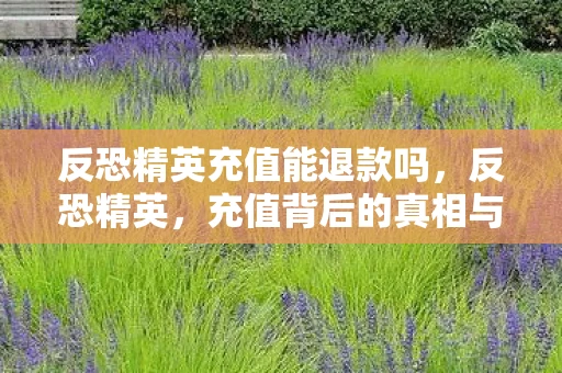 反恐精英充值能退款吗，反恐精英，充值背后的真相与反思