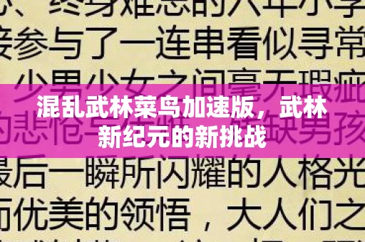 混乱武林菜鸟加速版图片