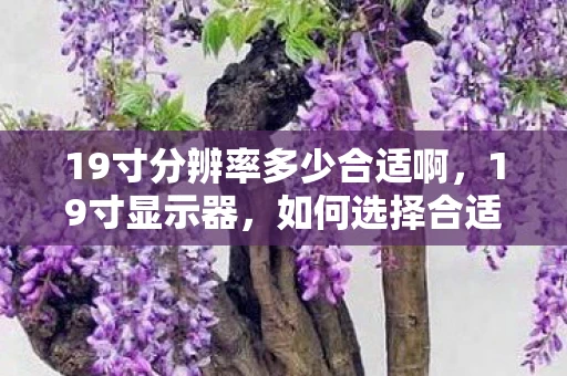 19寸分辨率多少合适啊，19寸显示器，如何选择合适的分辨率？