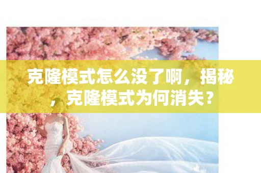 克隆模式怎么没了啊，揭秘，克隆模式为何消失？