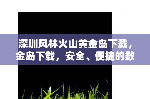 深圳风林火山黄金岛下载，金岛下载，安全、便捷的数字资源获取平台