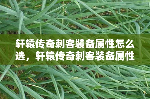 轩辕传奇刺客装备属性怎么选，轩辕传奇刺客装备属性详解