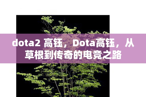 dota2 高钰，Dota高钰，从草根到传奇的电竞之路