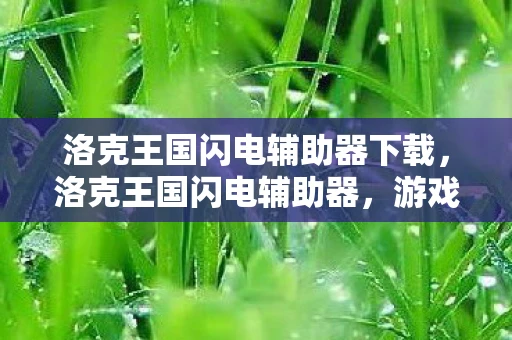 洛克王国闪电辅助器下载，洛克王国闪电辅助器，游戏神器还是作弊工具？
