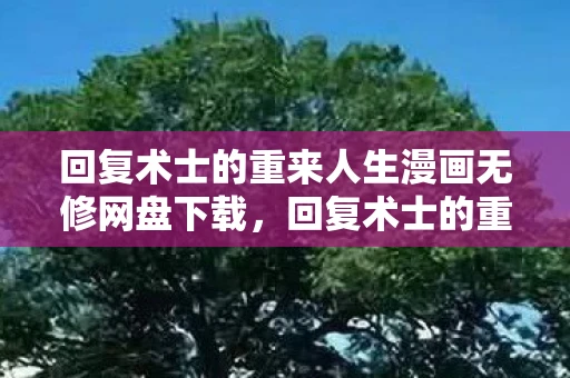 回复术士的重来人生漫画无修网盘下载，回复术士的重来人生漫画无修网盘，一场关于重生与复仇的奇幻之旅