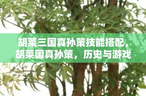 胡莱三国真孙策技能搭配，胡莱国真孙策，历史与游戏中的双重传奇