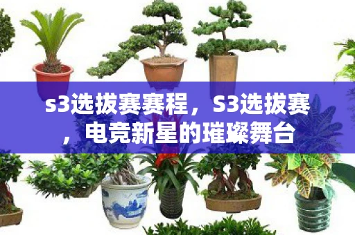 s3选拔赛赛程，S3选拔赛，电竞新星的璀璨舞台