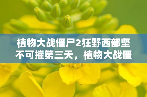 植物大战僵尸2狂野西部坚不可摧第三天，植物大战僵尸2，西部世界的坚不可摧策略