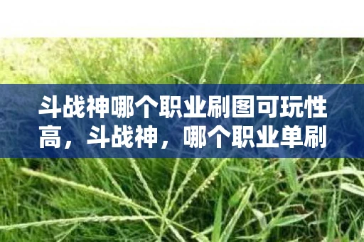 斗战神哪个职业刷图可玩性高，斗战神，哪个职业单刷最厉害？