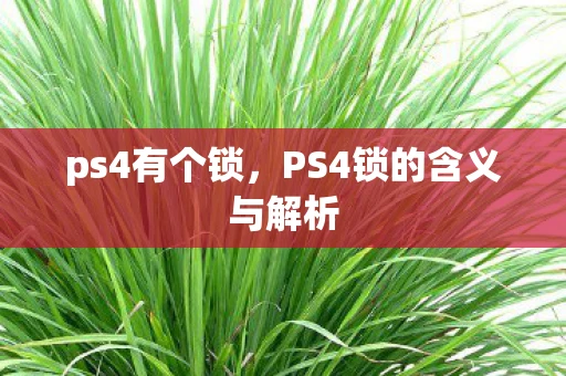 ps4有个锁，PS4锁的含义与解析