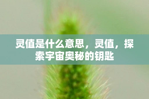 灵值是什么意思，灵值，探索宇宙奥秘的钥匙