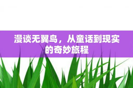 漫谈无翼鸟，从童话到现实的奇妙旅程