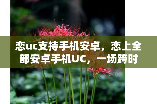 恋uc支持手机安卓，恋上全部安卓手机UC，一场跨时代的浪漫邂逅