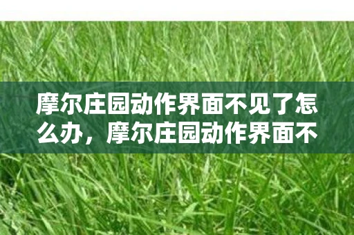 摩尔庄园动作界面不见了怎么办，摩尔庄园动作界面不见了，找回丢失的互动乐趣