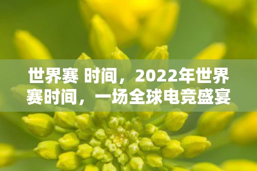 世界赛 时间，2022年世界赛时间，一场全球电竞盛宴的盛宴