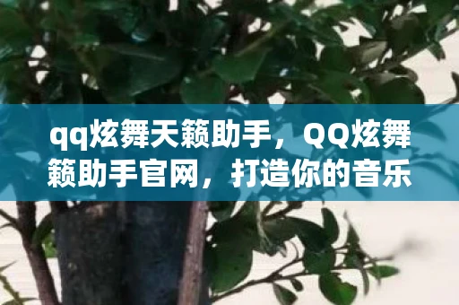 qq炫舞天籁助手，QQ炫舞籁助手官网，打造你的音乐舞蹈梦想