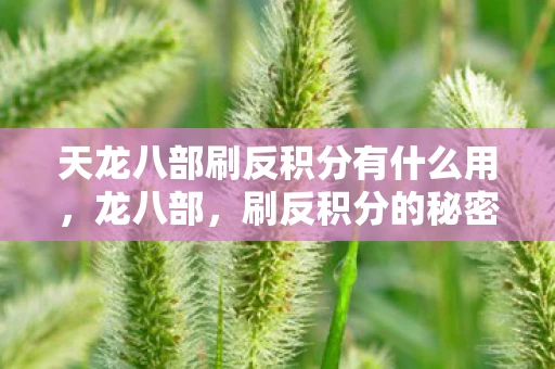 天龙八部刷反积分有什么用，龙八部，刷反积分的秘密与反思