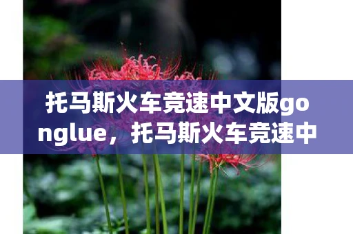 托马斯火车竞速中文版gonglue，托马斯火车竞速中文版，一场别开生面的火车竞速盛宴