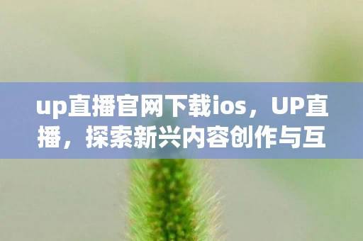 up直播官网下载ios，UP直播，探索新兴内容创作与互动平台