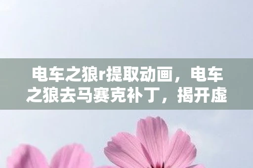 电车之狼r提取动画，电车之狼去马赛克补丁，揭开虚拟世界的面纱