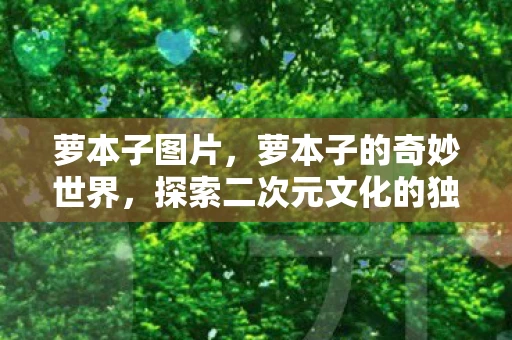 萝本子图片，萝本子的奇妙世界，探索二次元文化的独特魅力