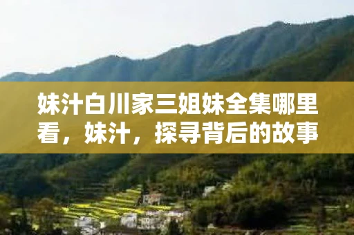 妹汁白川家三姐妹全集哪里看，妹汁，探寻背后的故事与意义