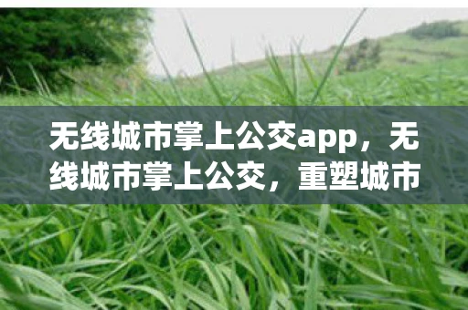无线城市掌上公交app，无线城市掌上公交，重塑城市出行新体验