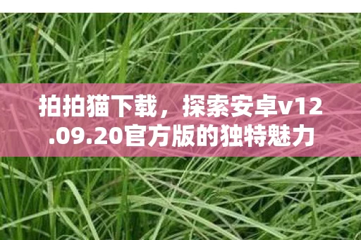 20官方版的独特魅力图片