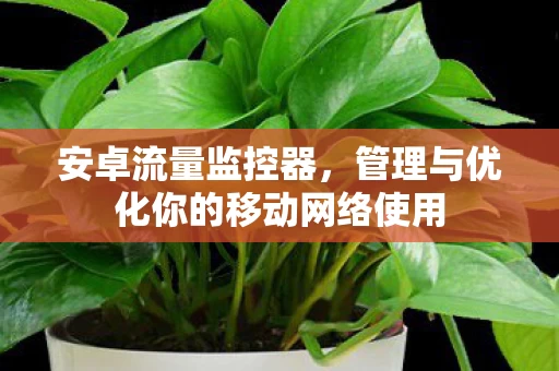 管理与优化你的移动网络使用图片