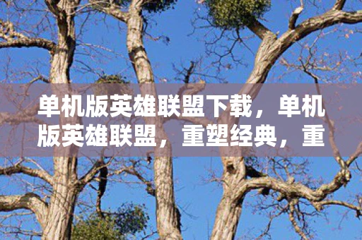 单机版英雄联盟下载，单机版英雄联盟，重塑经典，重温旧梦