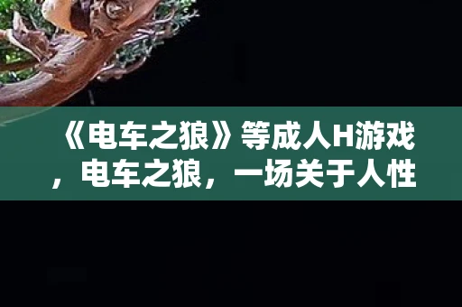 《电车之狼》等成人H游戏，电车之狼，一场关于人性与道德的深刻探讨
