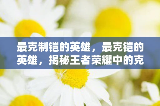 最克制铠的英雄，最克铠的英雄，揭秘王者荣耀中的克制关系