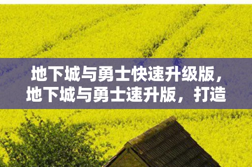 地下城与勇士快速升级版，地下城与勇士速升版，打造高效升级攻略