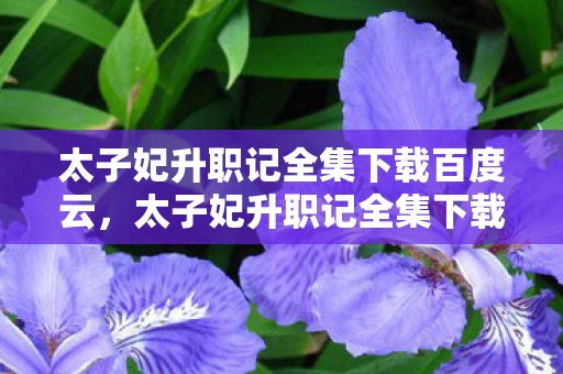 太子妃升职记全集下载百度云，太子妃升职记全集下载，一场跨越时空的宫廷爱恋