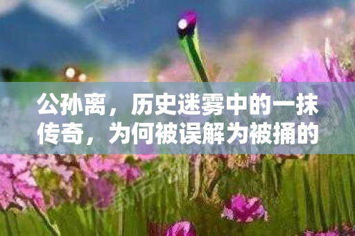 公孙离，历史迷雾中的一抹传奇，为何被误解为被捅的流口水？