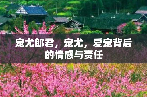 宠尤郎君，宠尤，爱宠背后的情感与责任