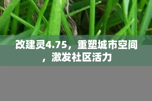 改建灵4.75，重塑城市空间，激发社区活力