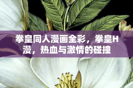 拳皇同人漫画全彩，拳皇H漫，热血与激情的碰撞