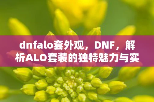 dnfalo套外观，DNF，解析ALO套装的独特魅力与实战应用