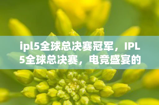 ipl5全球总决赛冠军，IPL5全球总决赛，电竞盛宴的巅峰对决