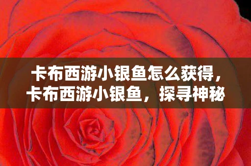 卡布西游小银鱼怎么获得，卡布西游小银鱼，探寻神秘海洋的奇妙之旅