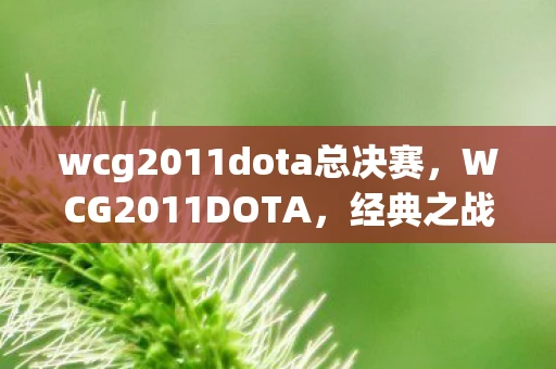 wcg2011dota总决赛，WCG2011DOTA，经典之战的回顾与解析