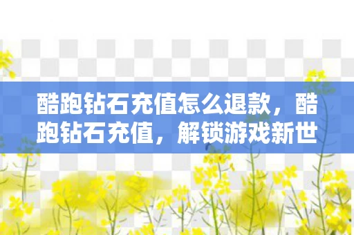 酷跑钻石充值怎么退款，酷跑钻石充值，解锁游戏新世界的钥匙