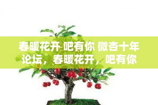 春暖花开 吧有你 微杏十年论坛，春暖花开，吧有你