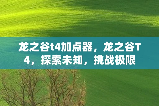 龙之谷t4加点器，龙之谷T4，探索未知，挑战极限