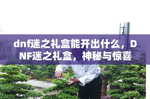 dnf迷之礼盒能开出什么，DNF迷之礼盒，神秘与惊喜的交织