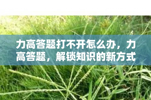 力高答题打不开怎么办，力高答题，解锁知识的新方式