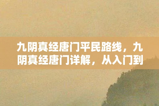 九阴真经唐门平民路线，九阴真经唐门详解，从入门到精通